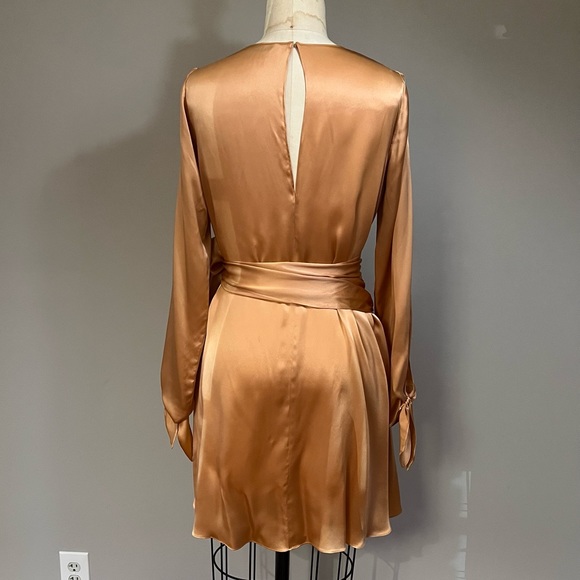 Amanda Uprichard 100% SILK Dress - Picture 5 of 6